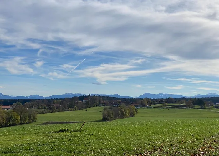 Vogelnest Linden (Miesbach)